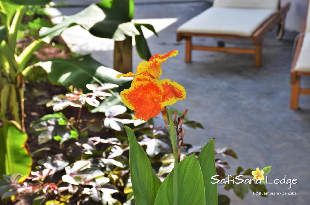 Safisana Lodge Jambiani  Zewnętrze zdjęcie